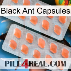 Black Ant Capsules 27
